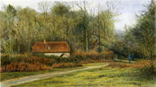 Cottage at Godshill Wood