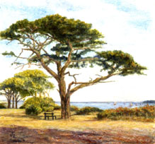 View From Lepe